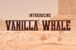 Vanilla Whale: The Retro Display Font You Need